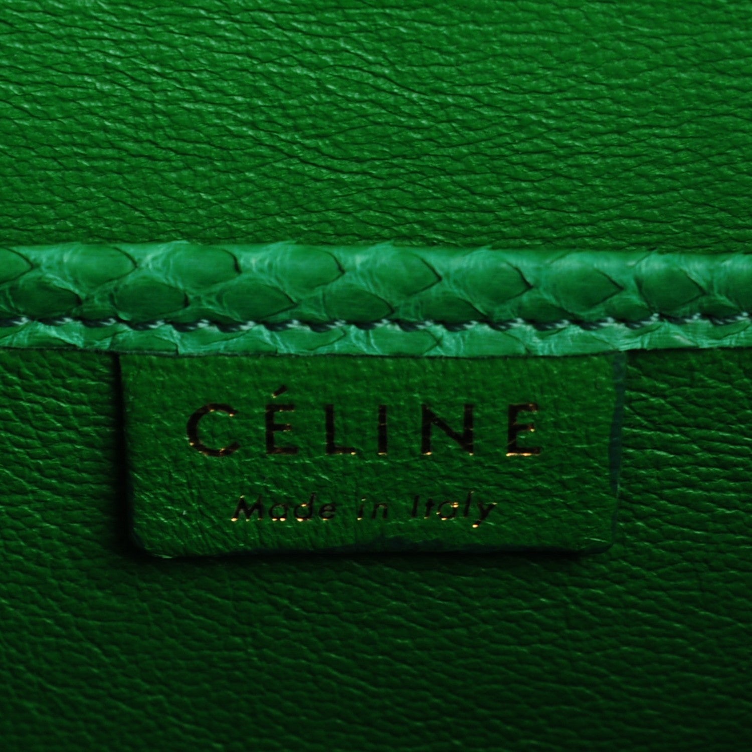 Celine Python Nano Luggage Grass Green 8 of 11