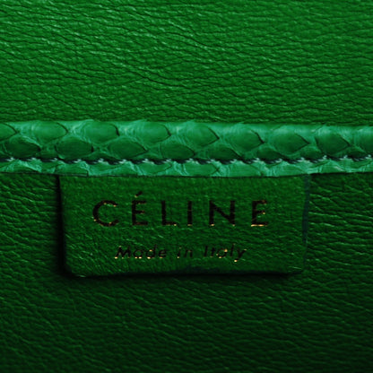 Celine Python Nano Luggage Grass Green 8 of 11