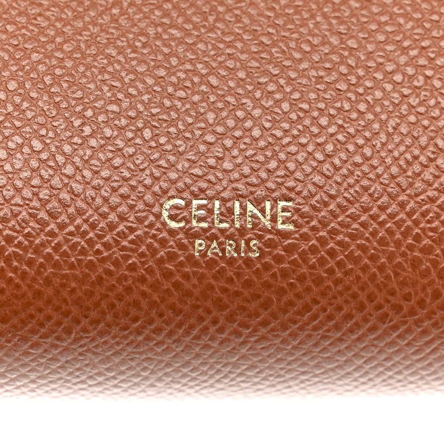 Grained Calfskin Nano Belt Bag Caramel