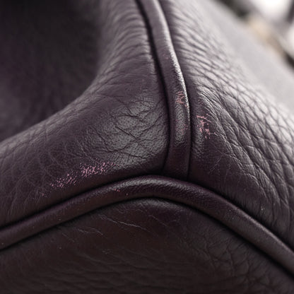Hermes Togo Birkin 35 Raisin 13 of 14