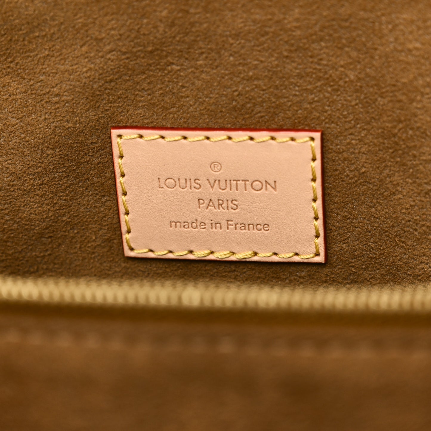 Monogram Dauphine Soft GM