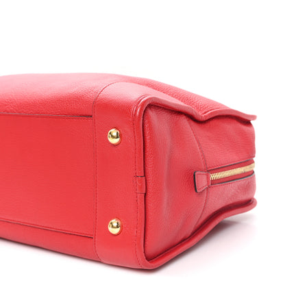Loewe Calfskin Amazona 36 Red 10 of 11