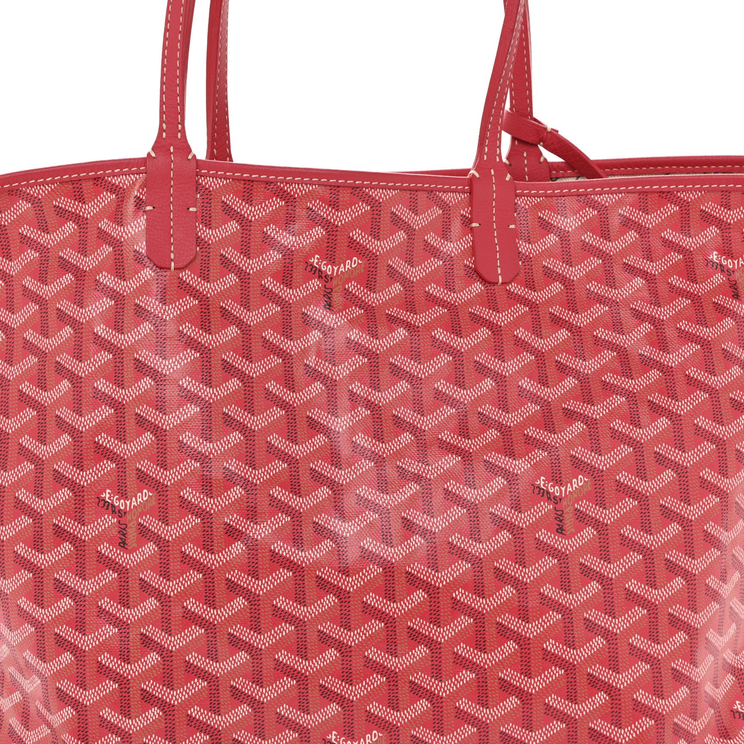 Goyard Goyardine Le Jardin Saint Louis PM Fuchsia 8 of 12