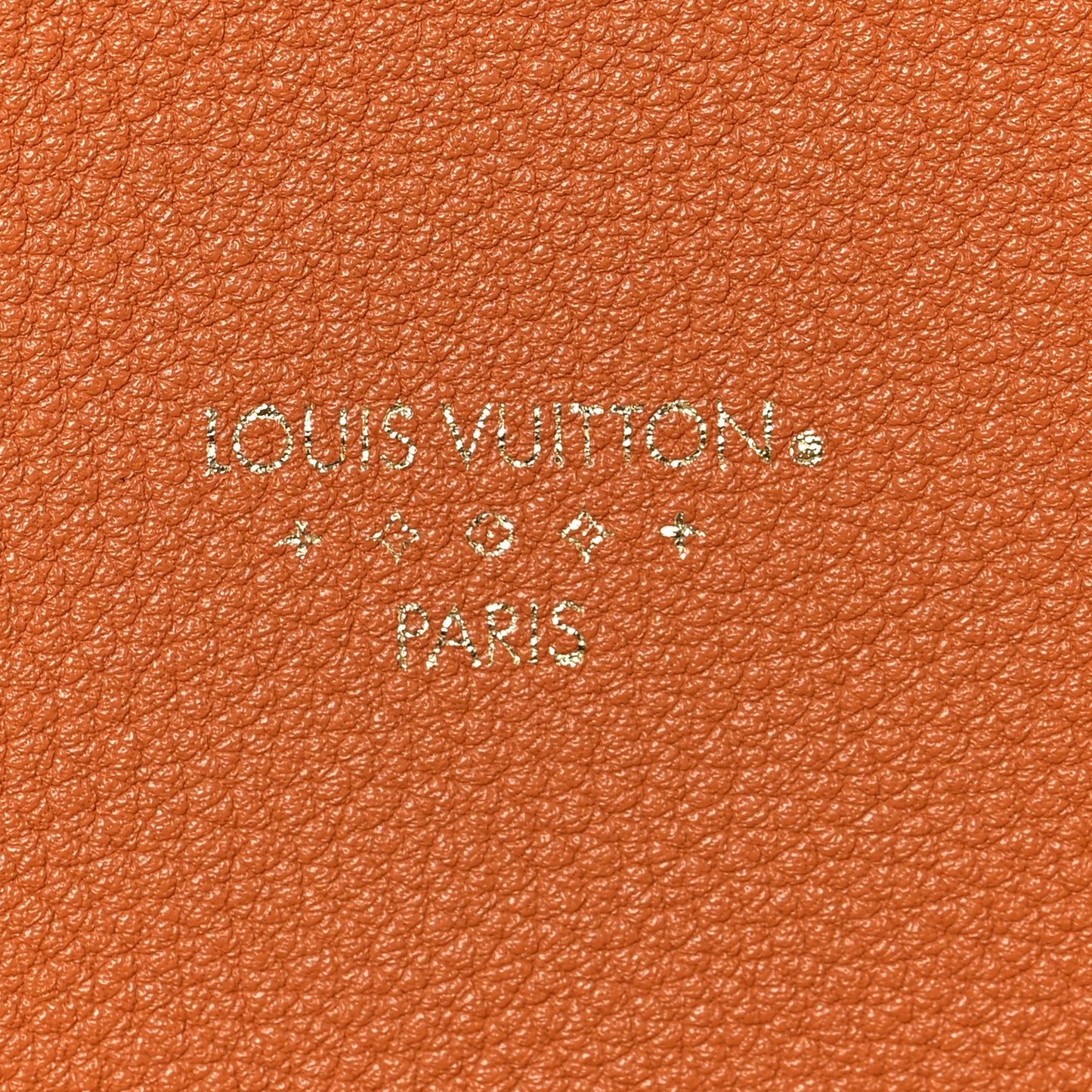 Grained Calfskin LV Pont 9 Soft MM Golden Siena