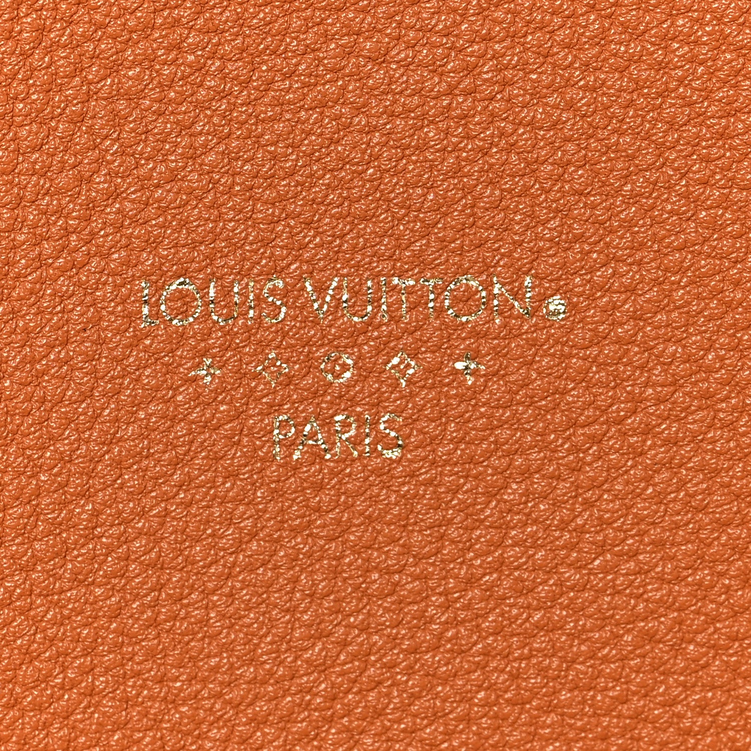 Louis Vuitton Grained Calfskin LV Pont 9 Soft MM Golden Siena 7 of 7