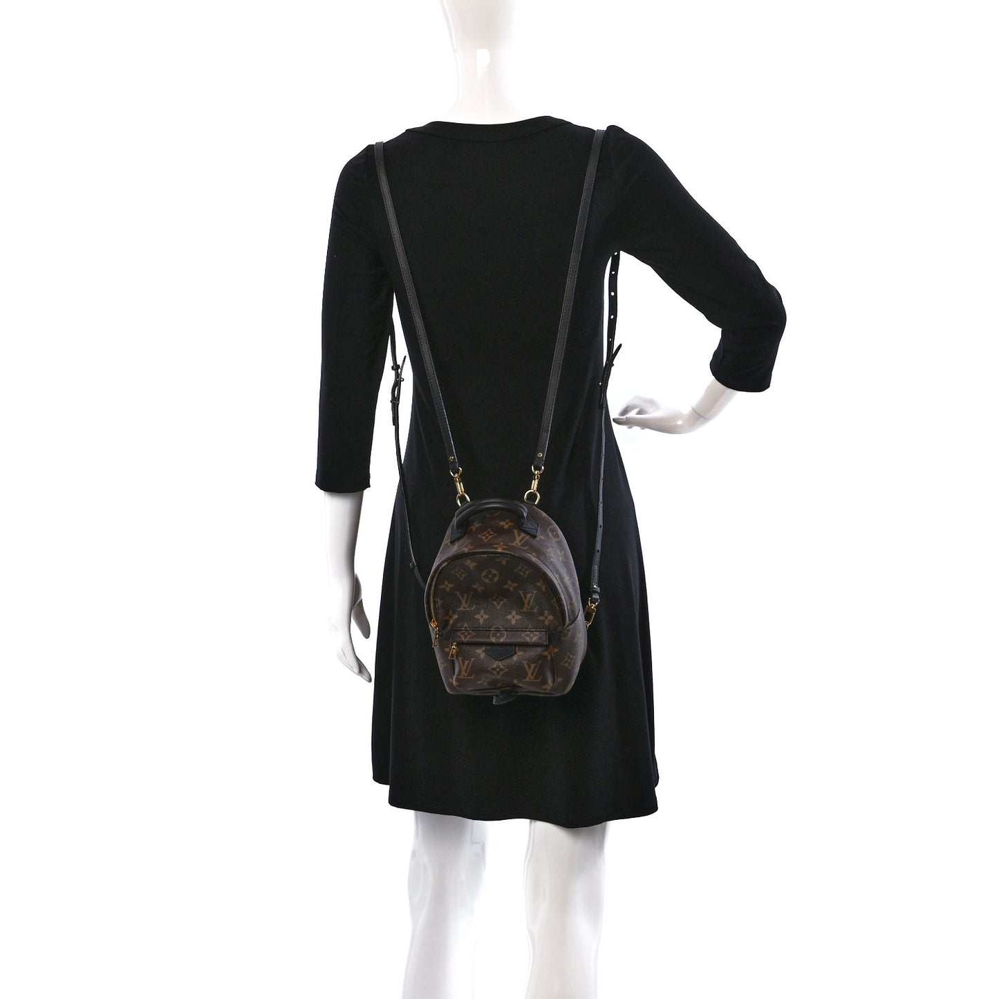 Monogram Palm Springs Backpack Mini