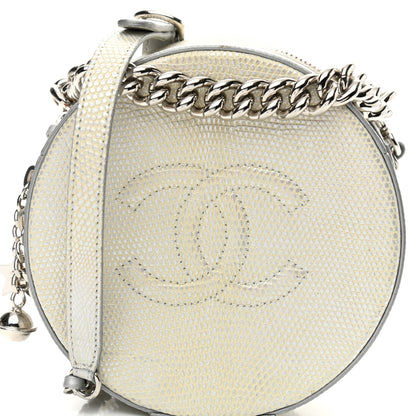 Chanel Metallic Lizard Round As Earth Evening Bag Silver 8 of 14