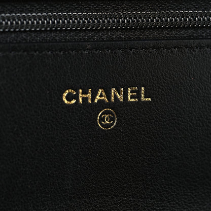 Chanel Lambskin Quilted Chanel 19 Wallet On Chain WOC Black 6 of 13
