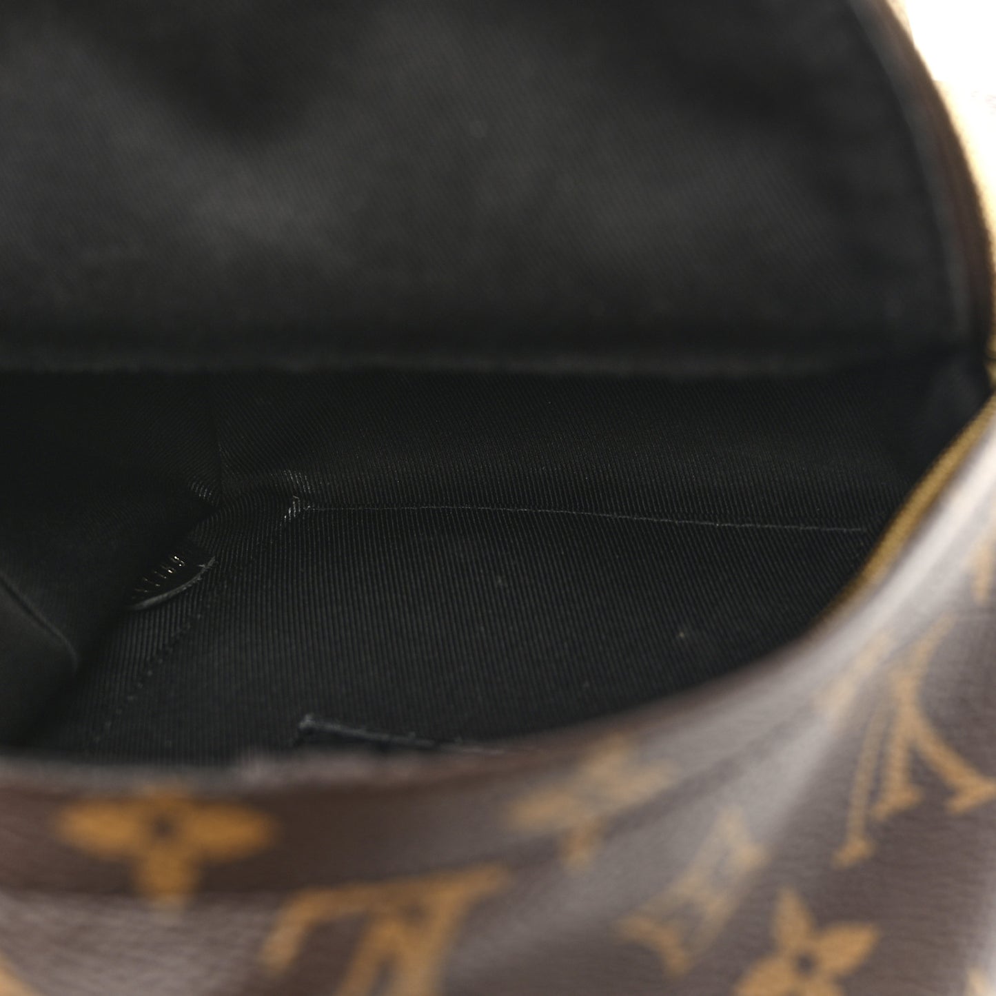 Monogram Palm Springs Backpack Mini