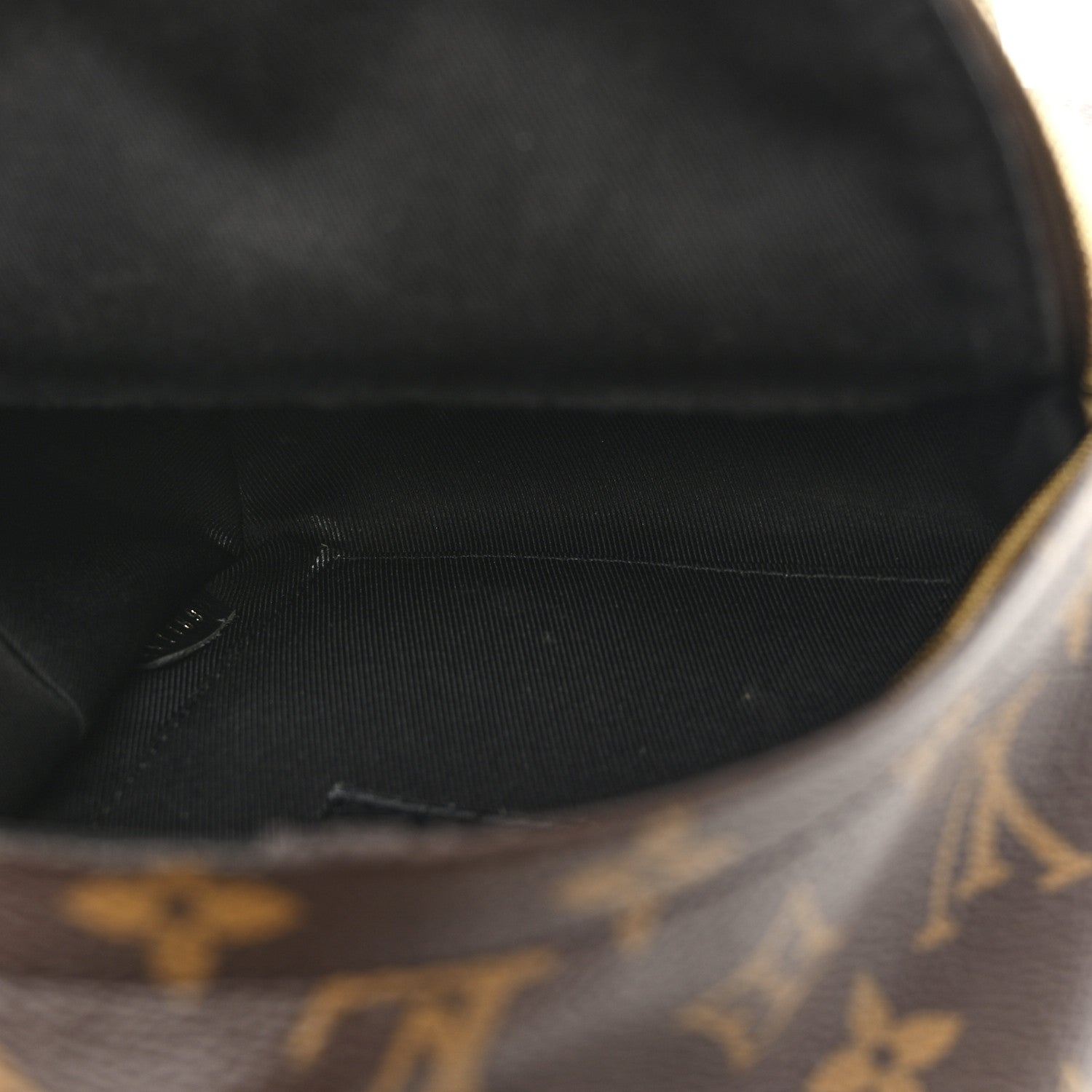 Louis Vuitton Monogram Palm Springs Backpack Mini 5 of 13