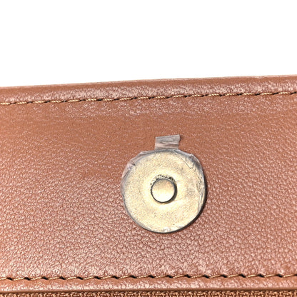 Chanel Lambskin Quilted Chanel 19 Wallet On Chain WOC Brown 12 of 13