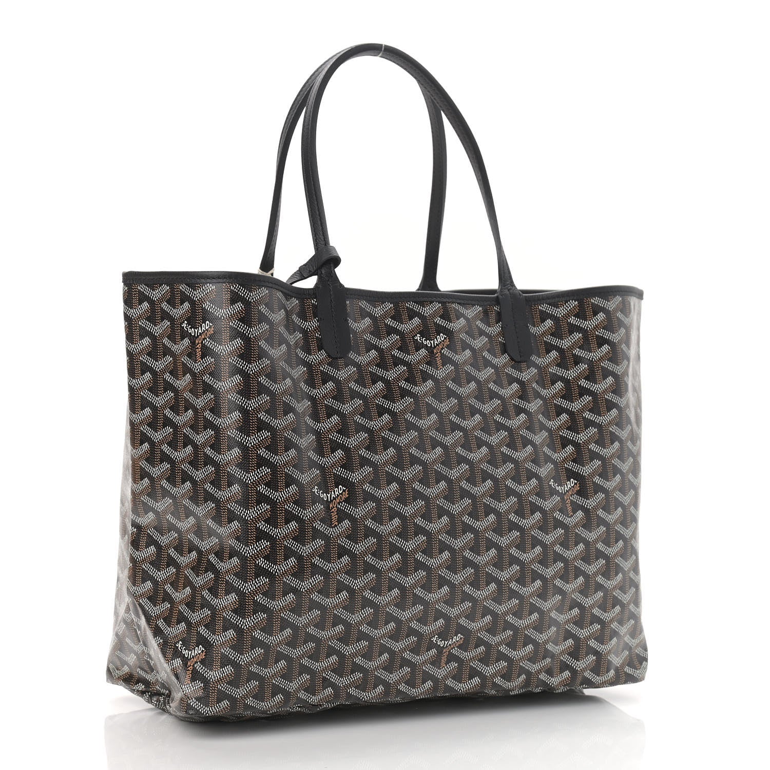 Goyard Goyardine Saint Louis PM Black 4 of 10
