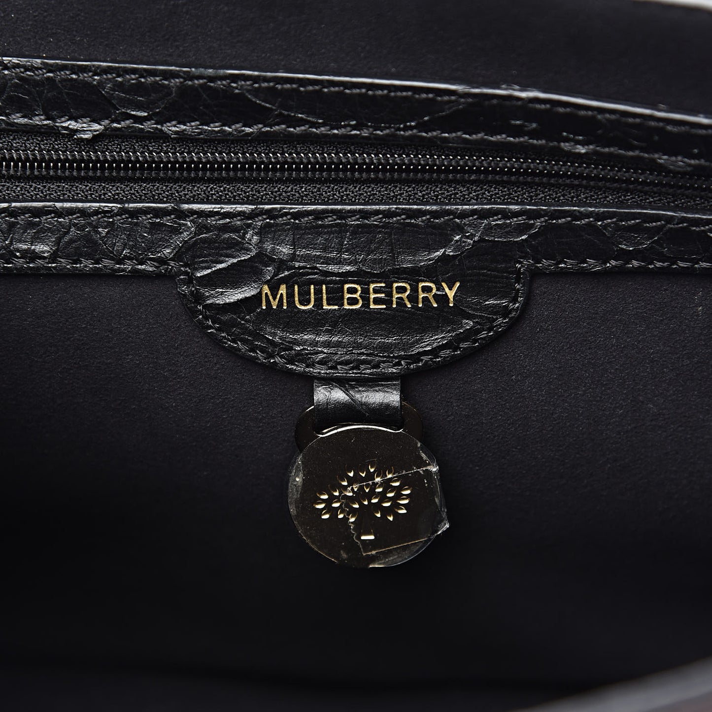 Silky Python Calfskin Embossed Reversible Delphie Crossbody Oxblood Black