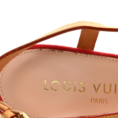 Louis Vuitton Suede Baby Goat Blossom Slingback Pumps 36 Rouge 8 of 11