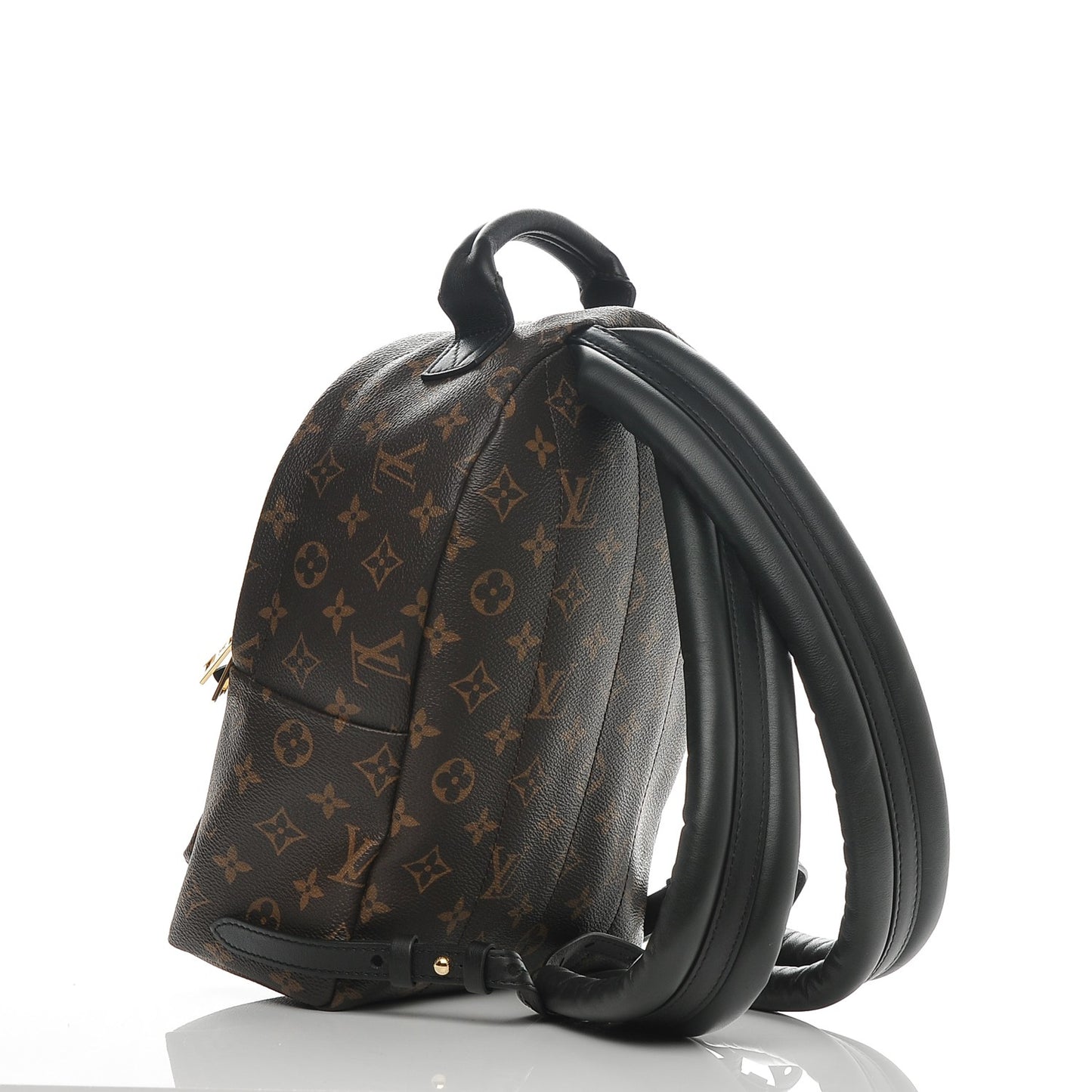Monogram Palm Springs Backpack PM