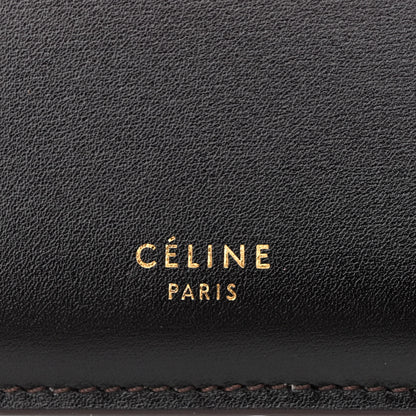 Celine Patina Box Calfskin Medium Clasp Bag Velvet 6 of 11