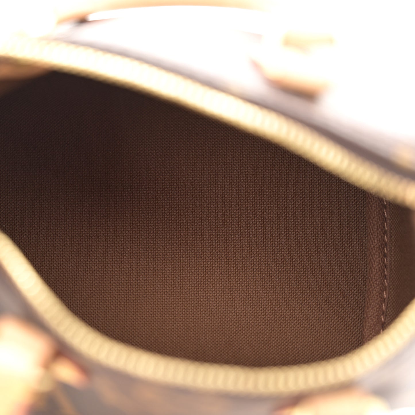 Monogram Nano Speedy