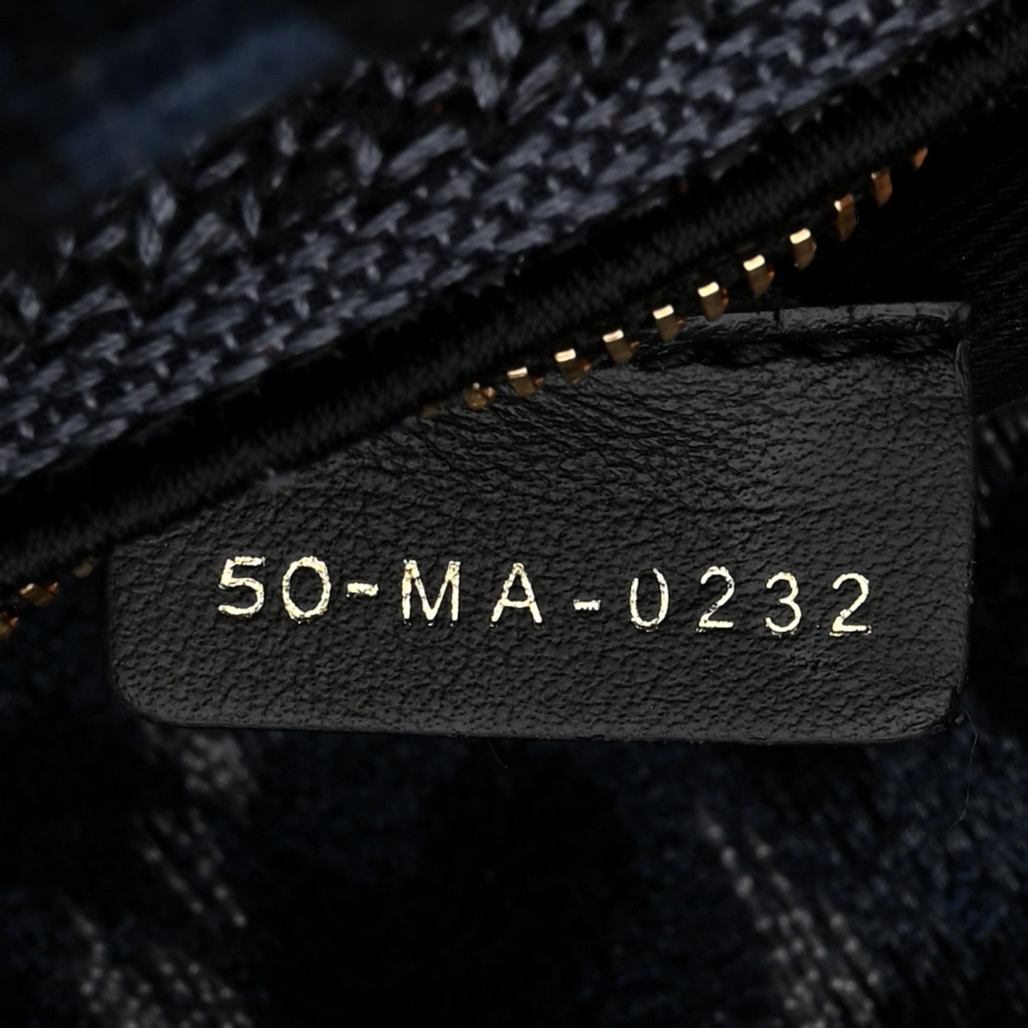 Christian Dior Canvas Mizza Embroidered Medium Lady D-Lite Blue