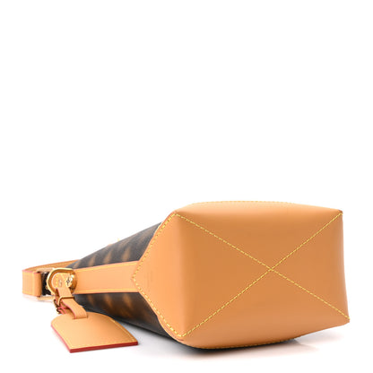 Louis Vuitton Monogram Blurry Hobo Cruiser PM 4 of 9