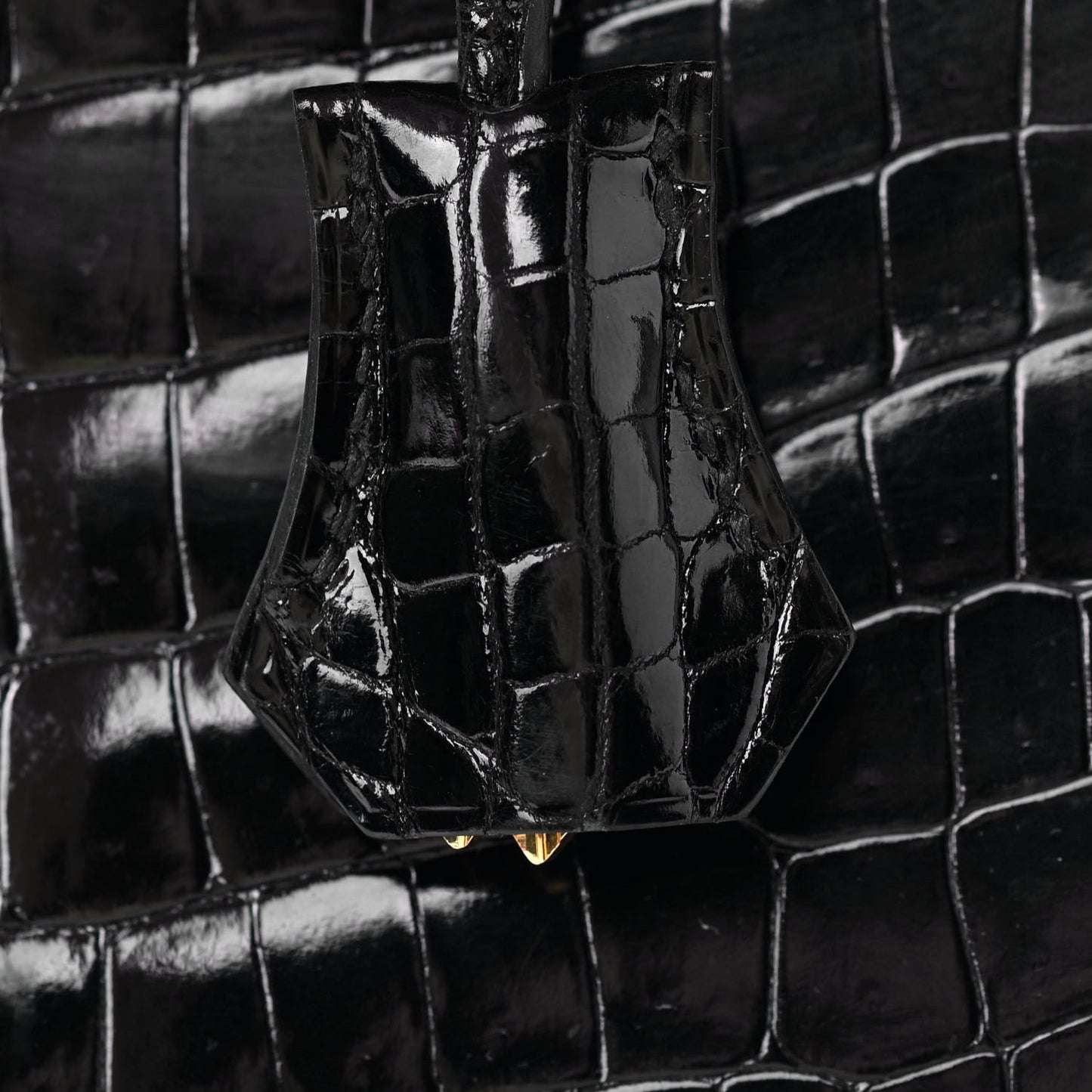 Shiny Niloticus Crocodile Birkin 30 Black