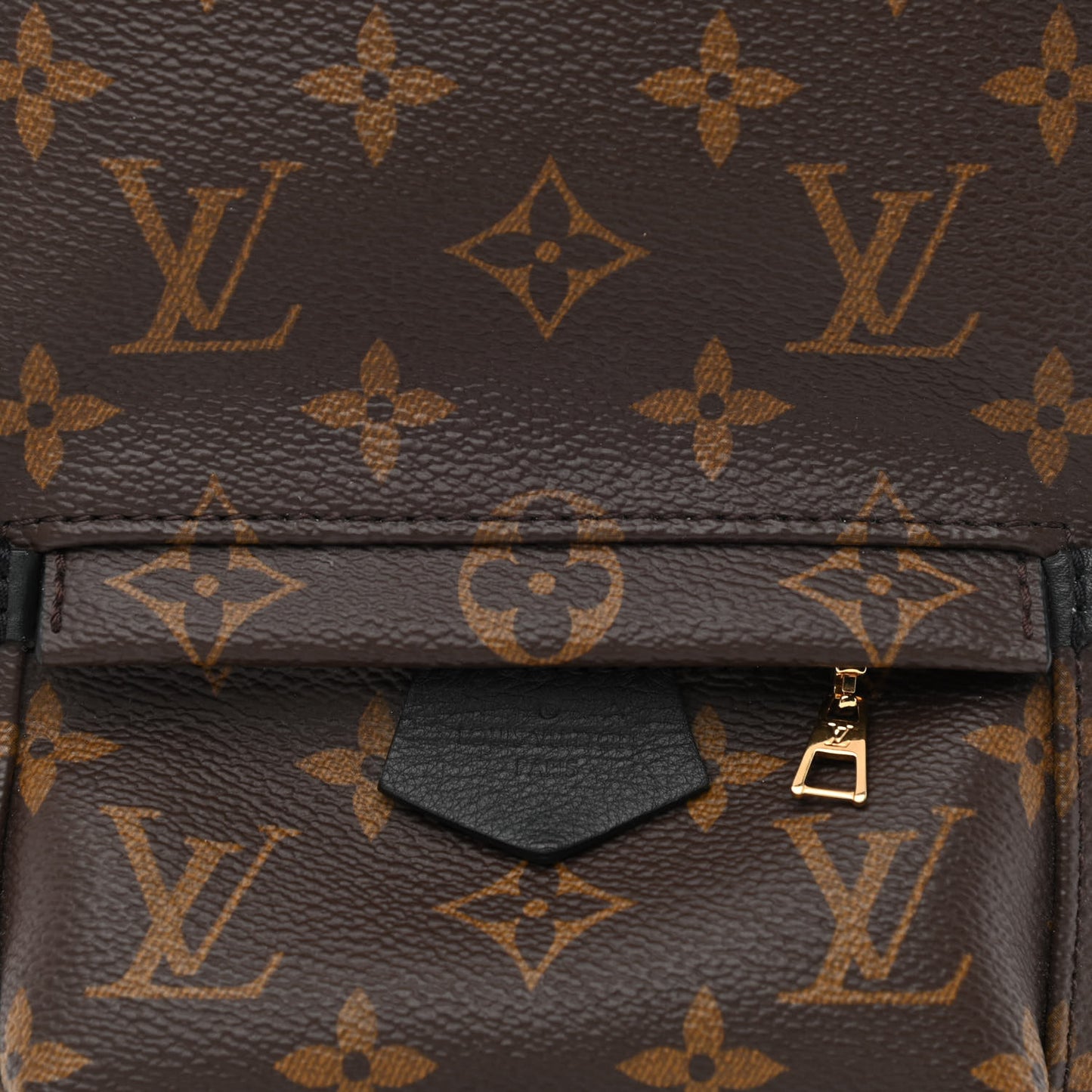 Monogram Palm Springs Backpack Mini