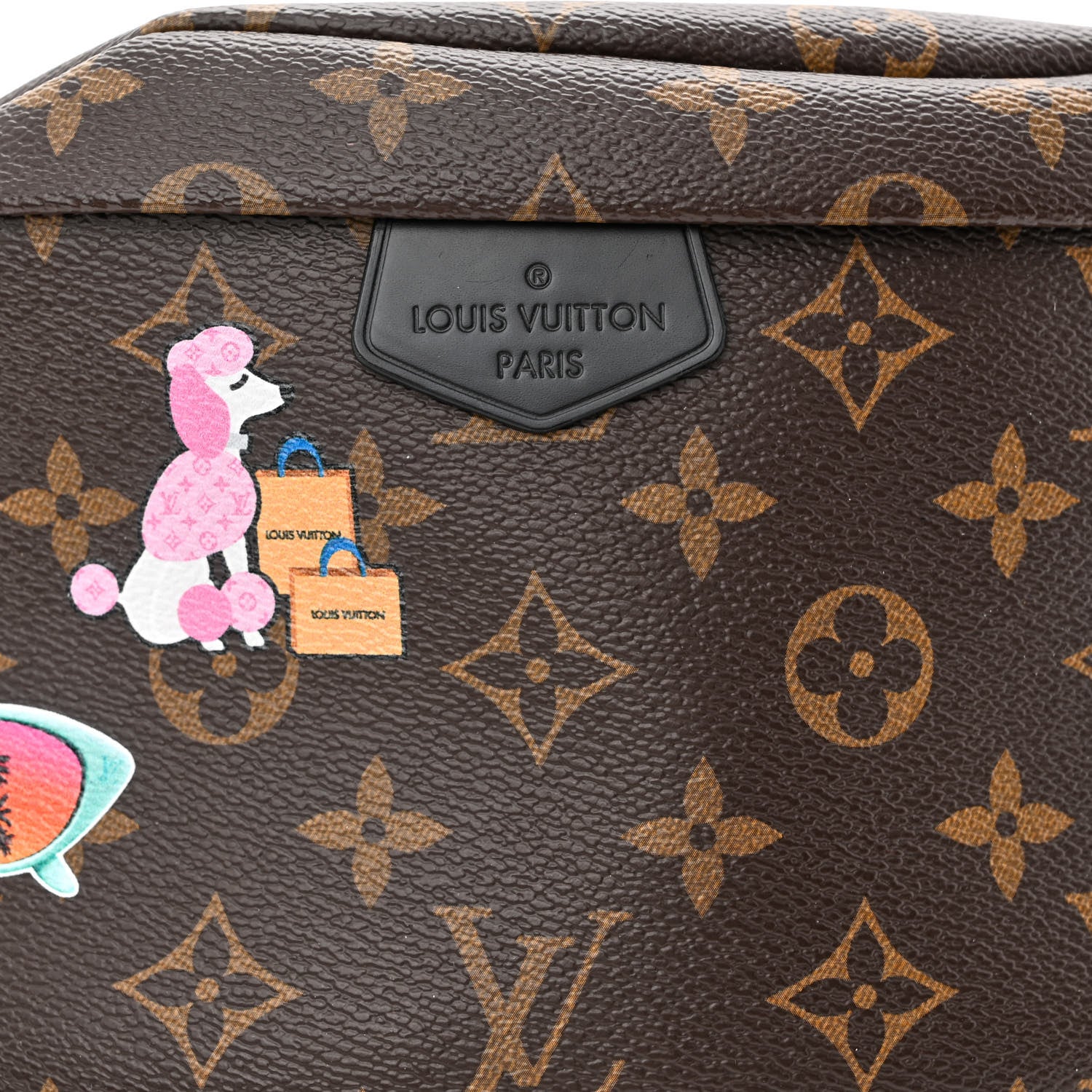 Louis Vuitton Monogram My LV World Tour Bumbag 9 of 11