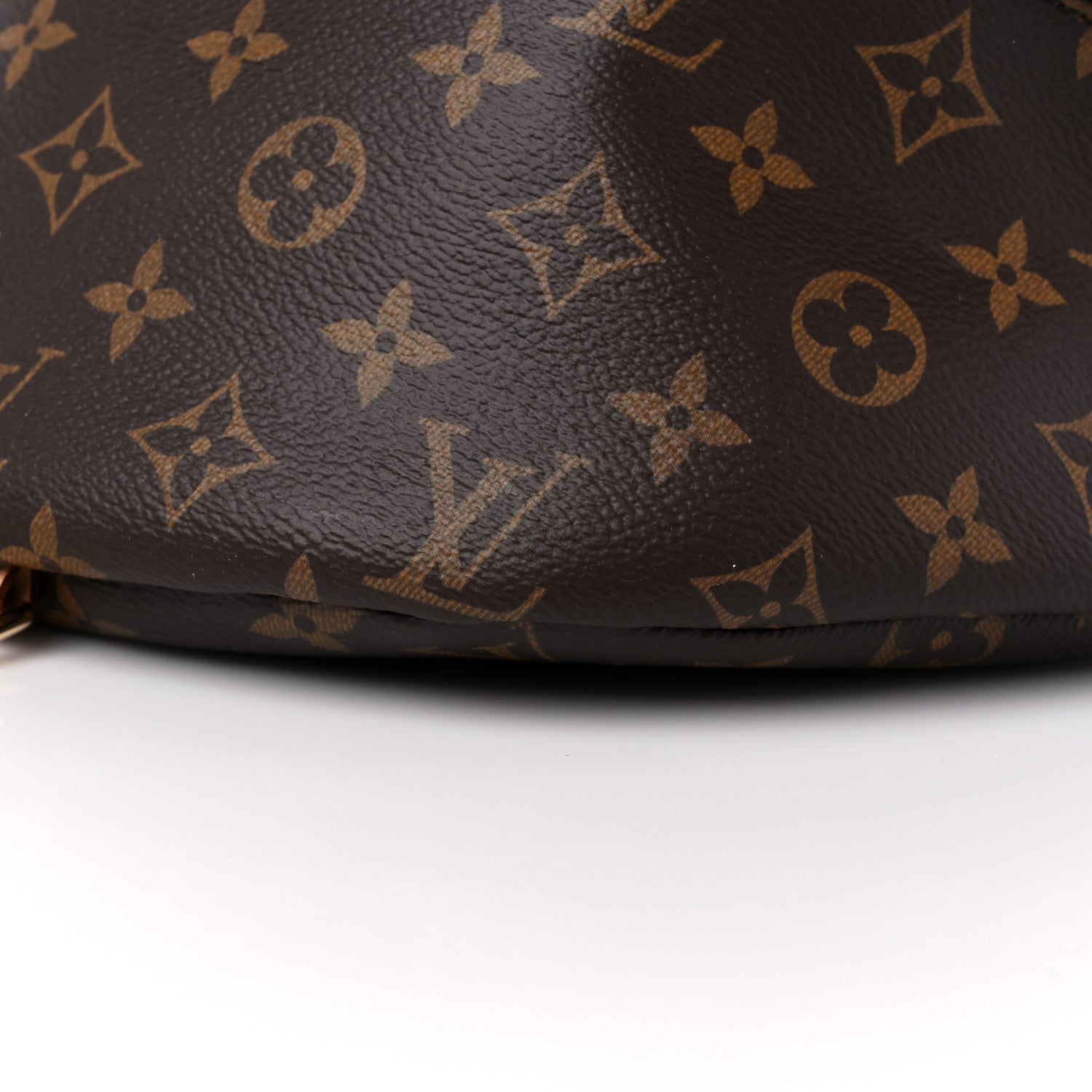 Louis Vuitton Monogram Bumbag 9 of 14