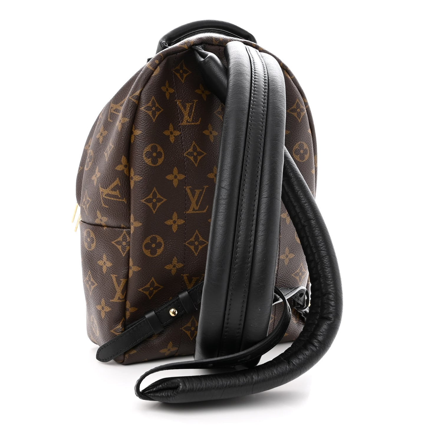 LOUIS VUITTON Reverse Monogram Palm Springs Backpack PM