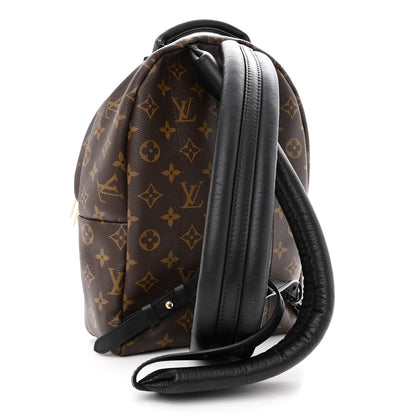 Louis Vuitton LOUIS VUITTON Reverse Monogram Palm Springs Backpack PM 2 of 8