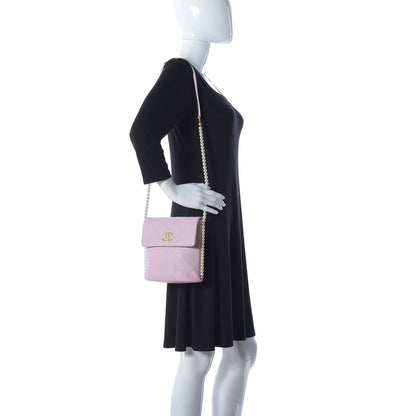Chanel Calfskin Quilted Pearl Small About Pearls Hobo Bag Light Pink 2 of 9