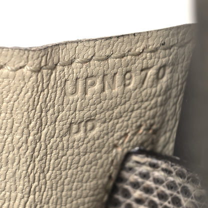 Hermes Lizard Birkin 25 Ombre 7 of 13