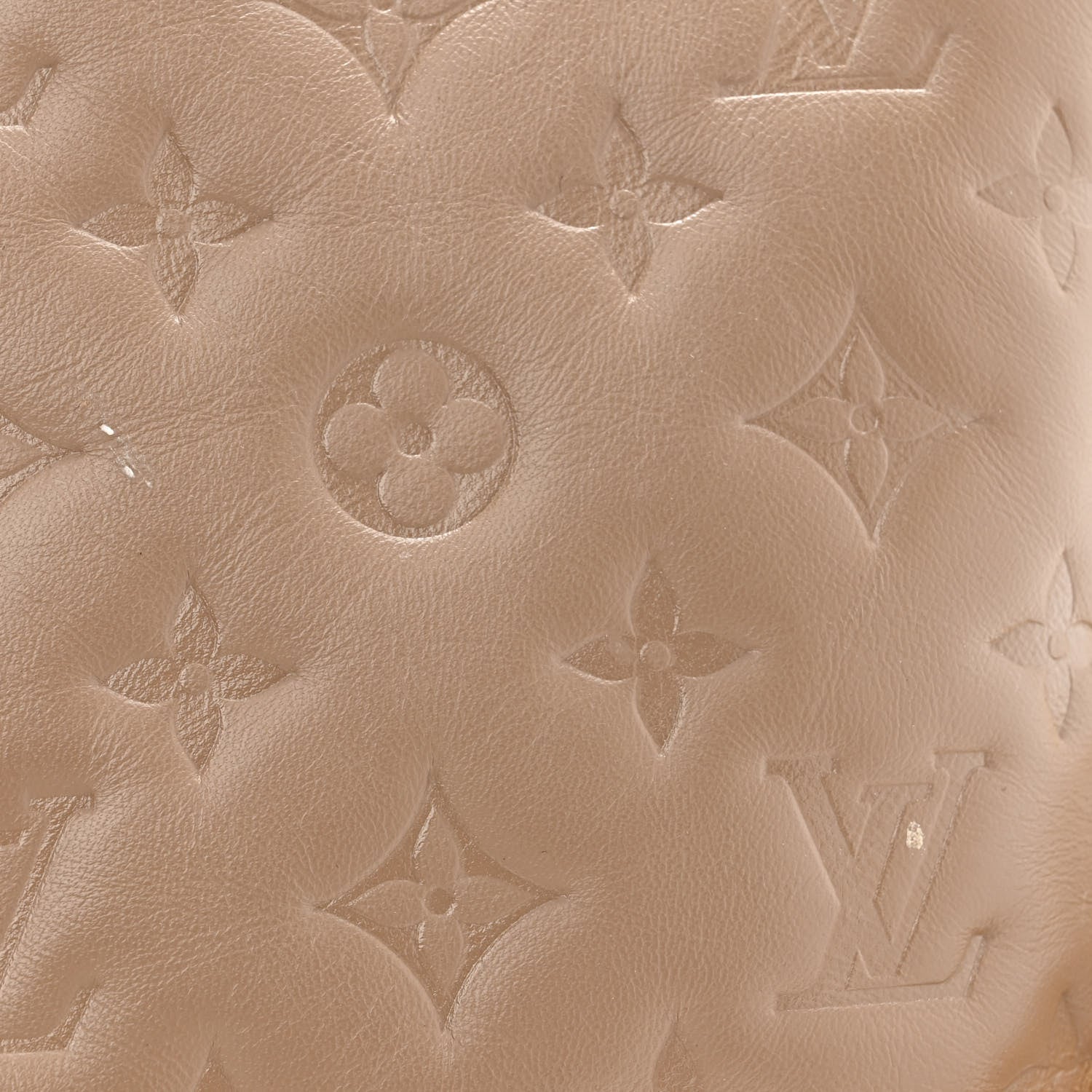 Louis Vuitton Lambskin Embossed Monogram Coussin MM Taupe 12 of 14