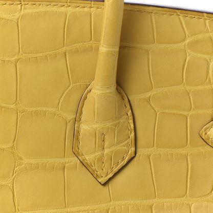 Hermes Matte Alligator Birkin 25 Jaune Ambre 8 of 33