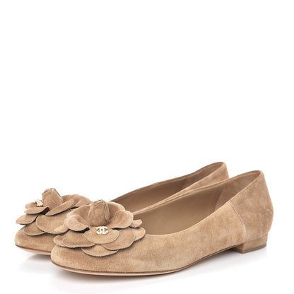 Chanel Suede Camellia CC Ballerina Flat 40.5 Beige 3 of 9