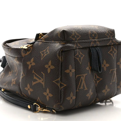 Louis Vuitton Monogram Palm Springs Backpack Mini 9 of 14