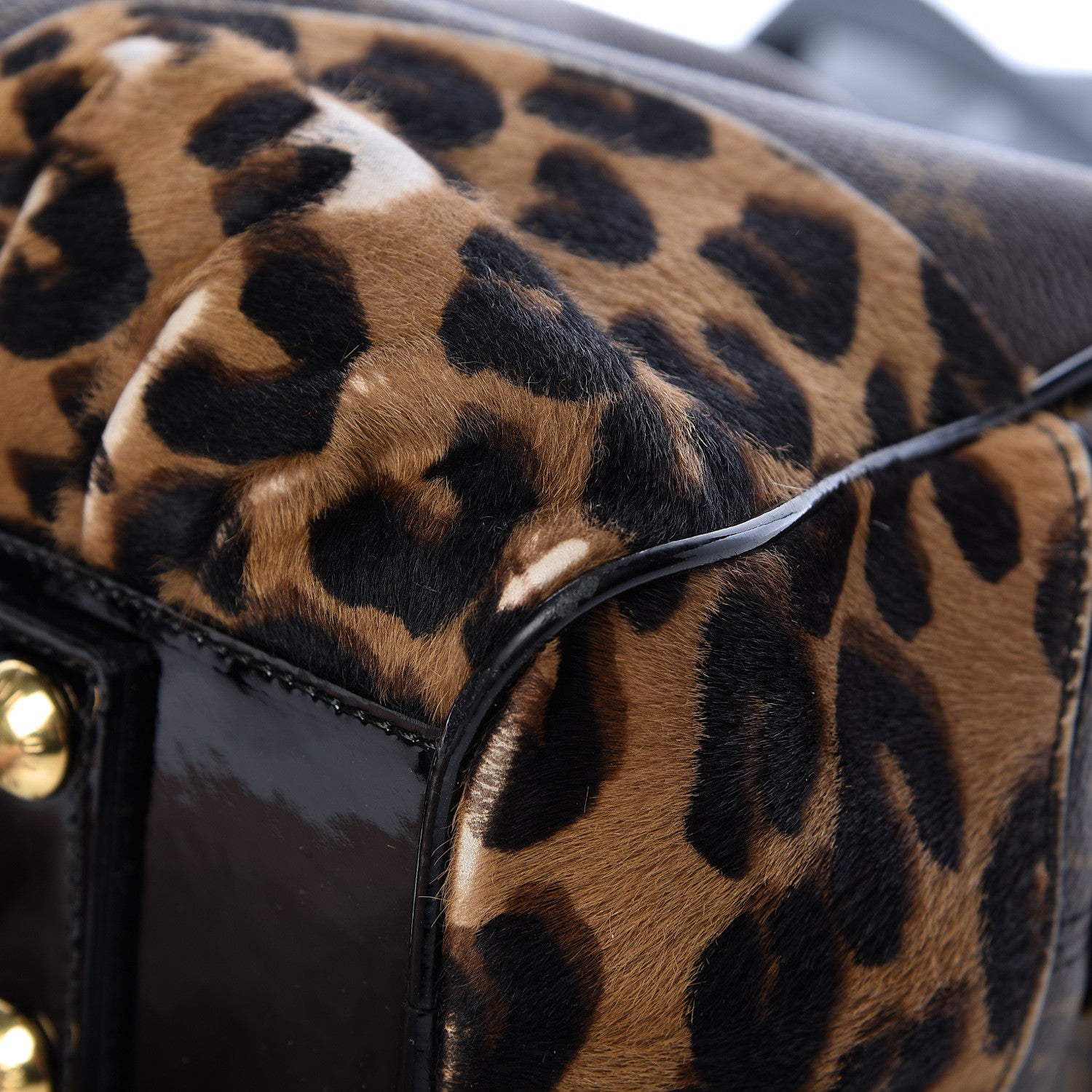 Louis Vuitton Monogram Leopard Adele 16 of 18