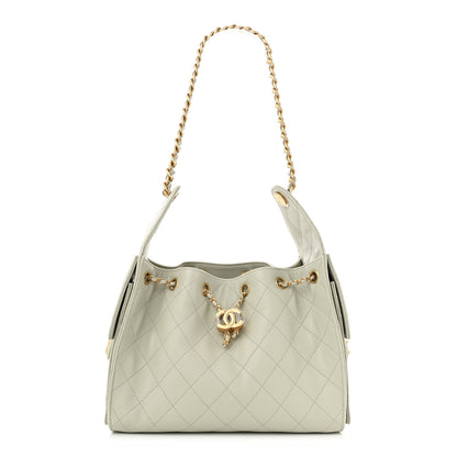 Chanel Caviar Quilted Small Chanel 25 Handbag Light Grey 1 of 10