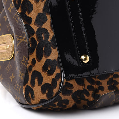 Louis Vuitton Monogram Leopard Stephen Bag 9 of 15