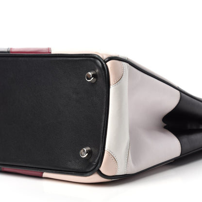 Christian Dior Smooth Calfskin Scalloped Medium Diorissimo Multicolor 8 of 12