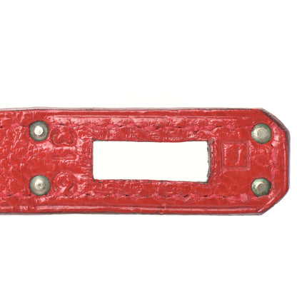Hermes Chevre Mysore Birkin 25 Rouge Vif 27 of 42