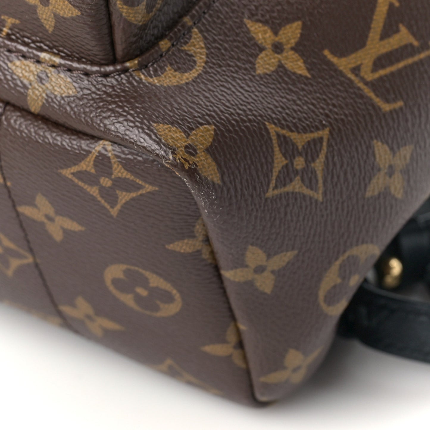 Monogram Palm Springs Backpack PM