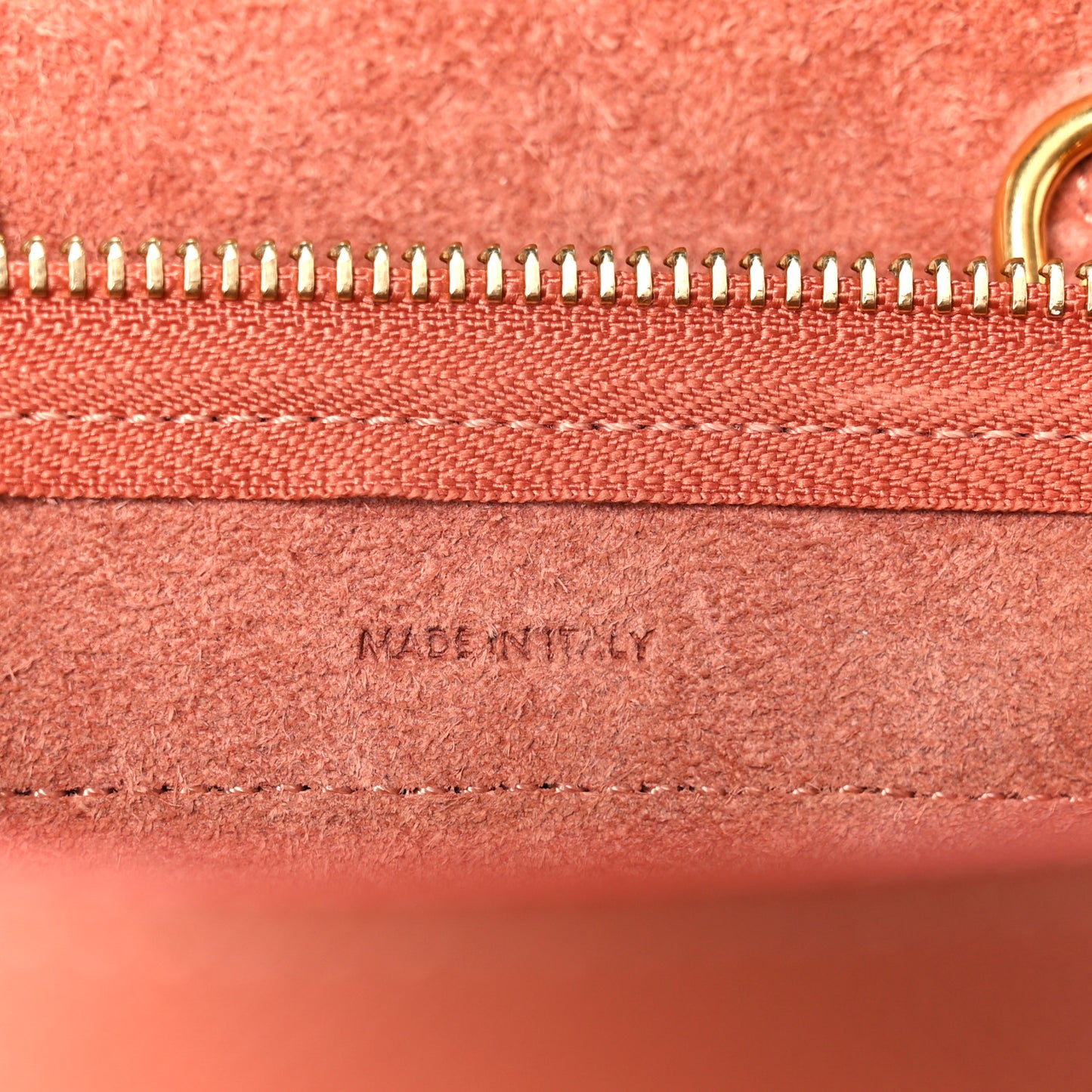 Grained Calfskin Nano Belt Bag Terracotta