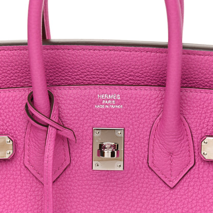 Hermes Togo Birkin 25 Magnolia 6 of 14
