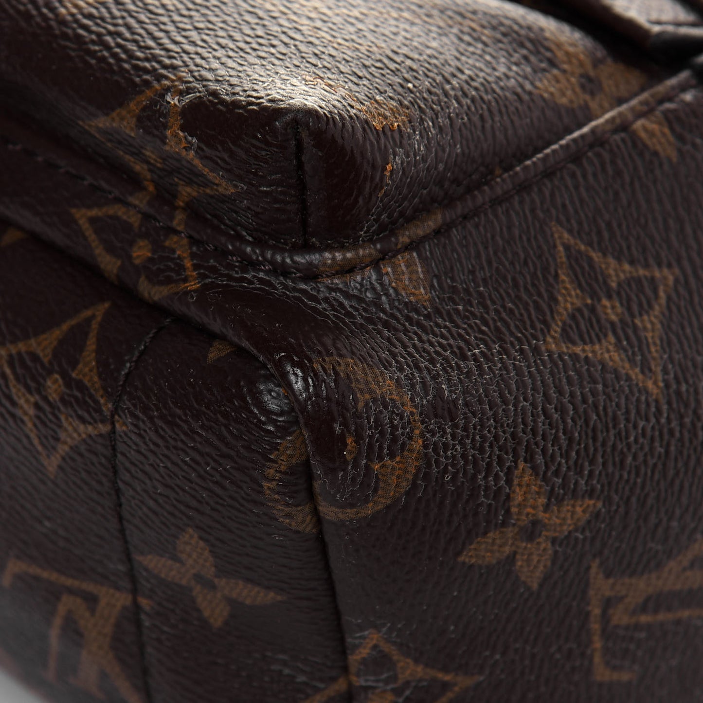 Monogram Palm Springs Backpack Mini