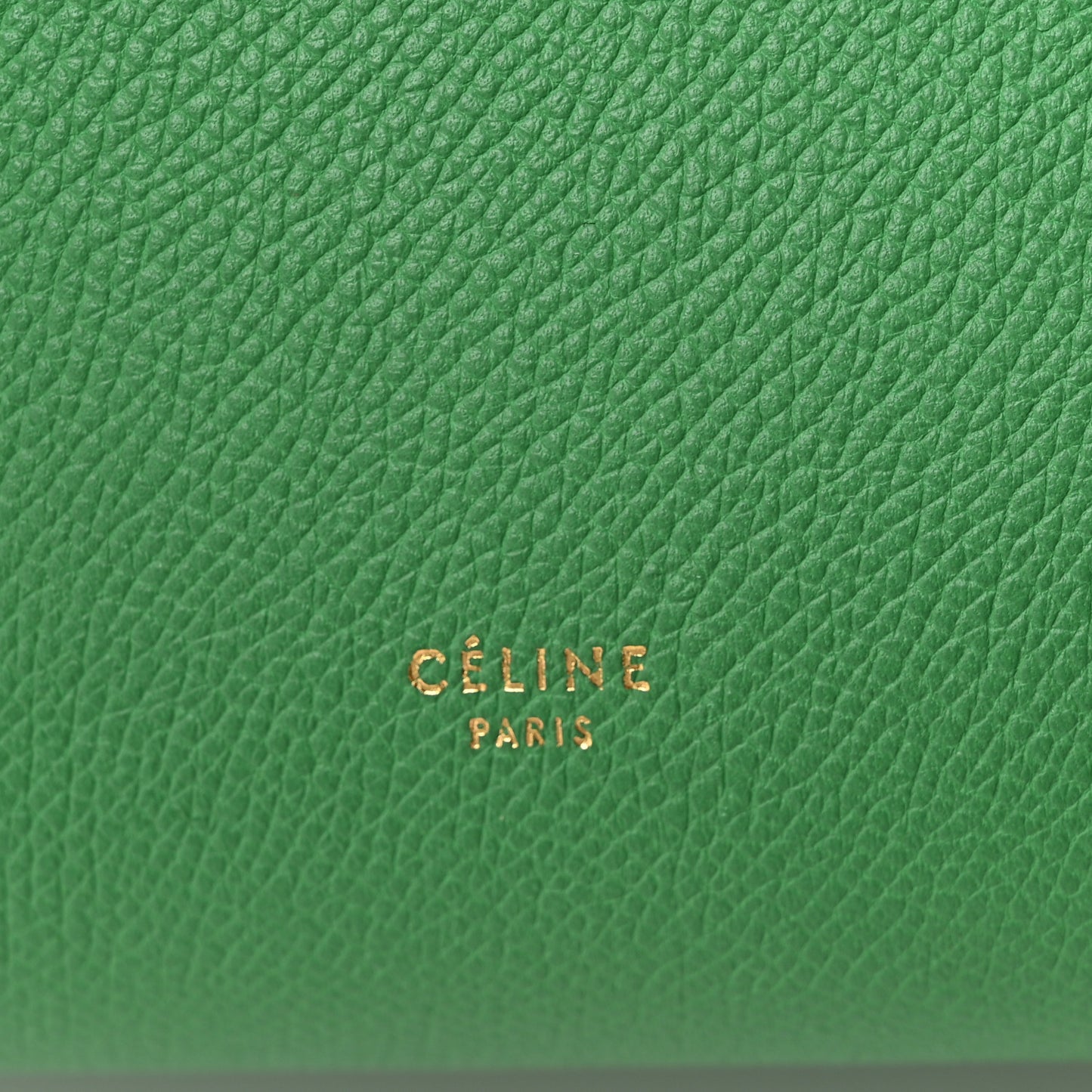 Grained Calfskin Mini Belt Bag Mint