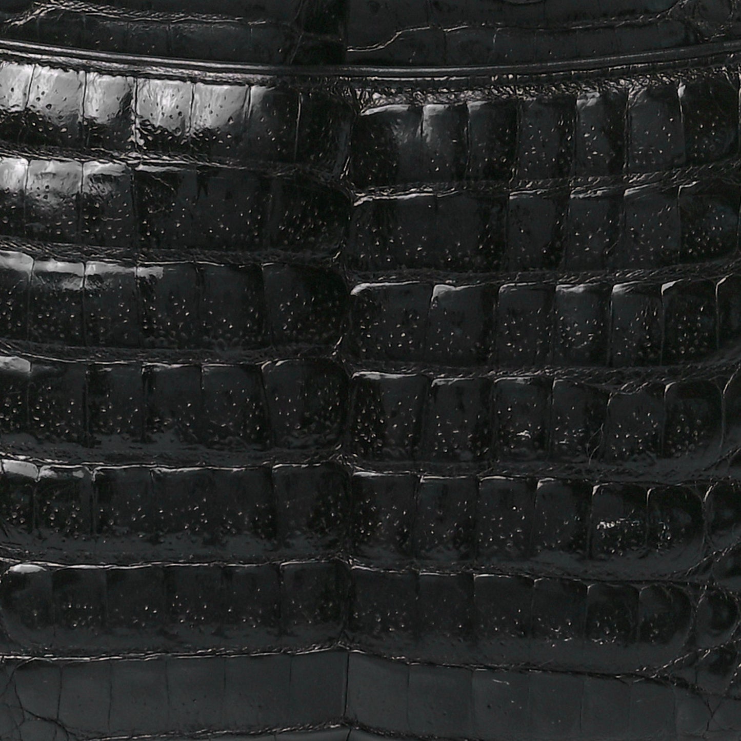 Alligator Tote Black