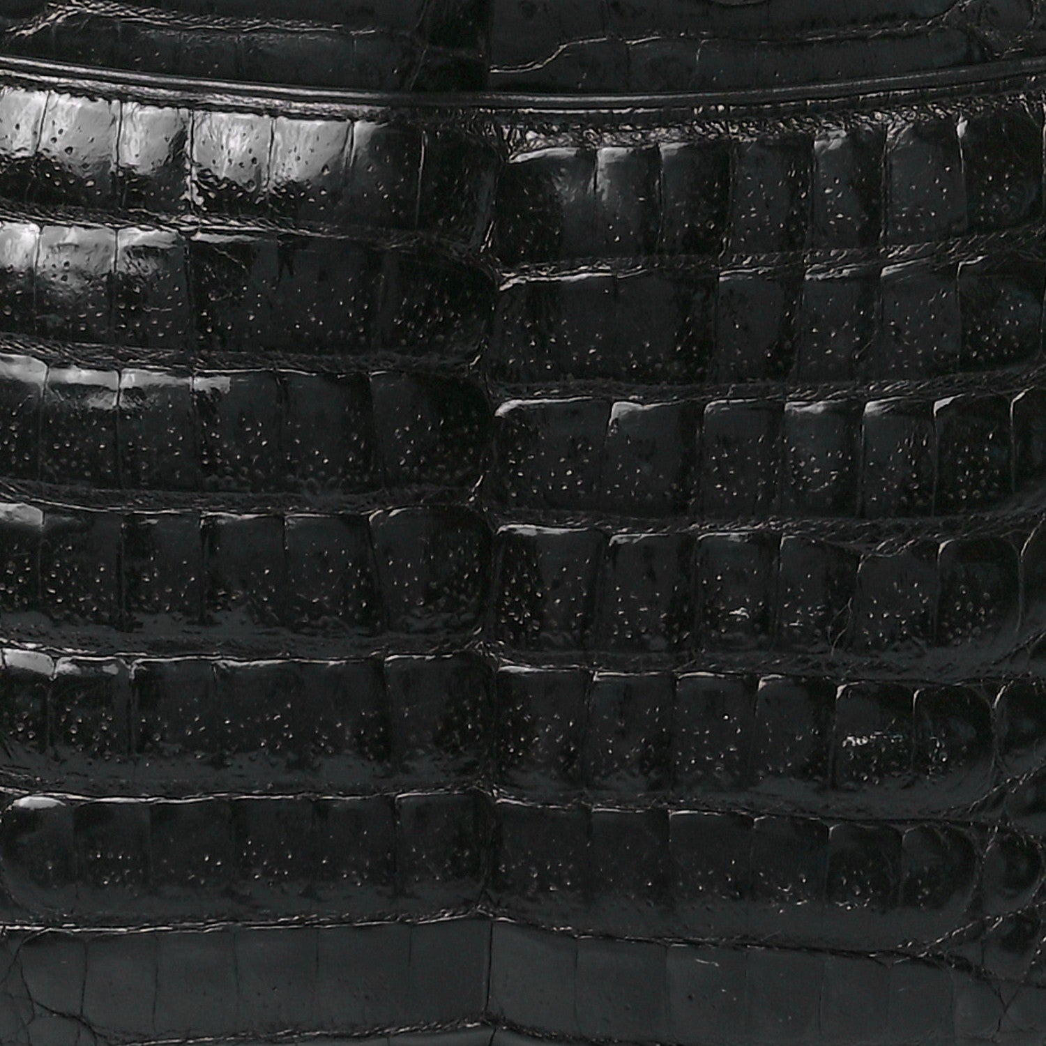 Chanel Alligator Tote Black 8 of 12