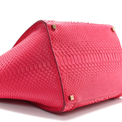 Celine Snakeskin Medium Phantom Luggage Fushia 8 of 11