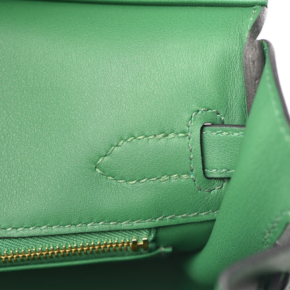 Hermes Swift Birkin 25 Cactus 12 of 34