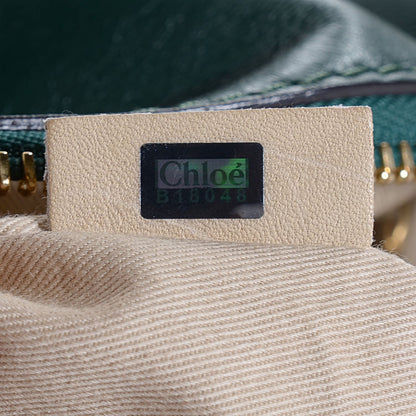 Chloe Calfskin Python Medium Marcie Satchel Green Blue 18 of 18